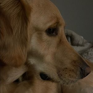 Meet your Posher, Blake